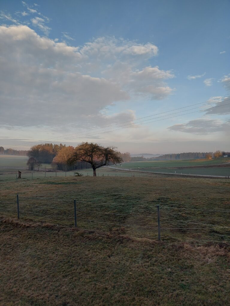 Die Jagd nach Unheimlichen